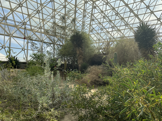 inside the Biosphere 2