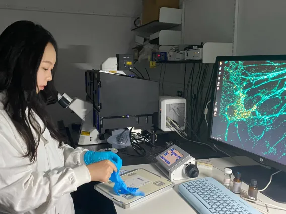 Picture of Chloe Park putting on gloves at the lab bench