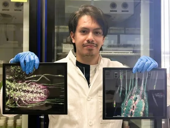 Picture of Gamaliel holding up pictures of the Drosophila nervous system