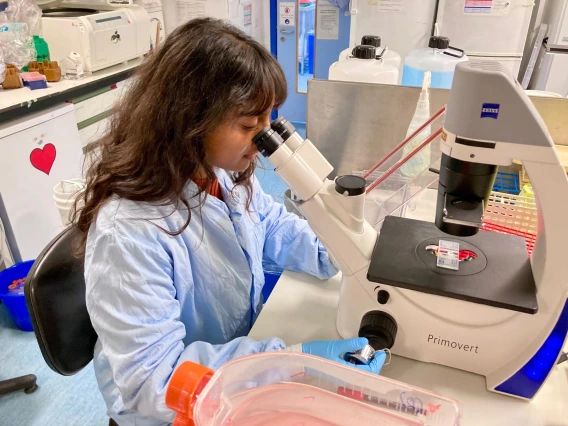 Picture of Aruna Sreenivasan looking through a microscope