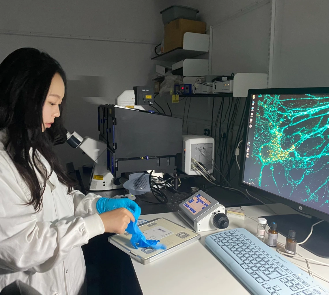 Picture of Chloe Park putting on gloves at the lab bench