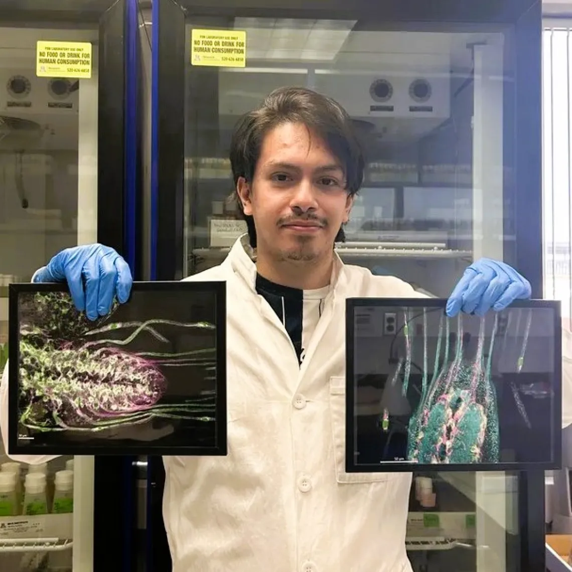 Picture of Gamaliel holding up pictures of the Drosophila nervous system