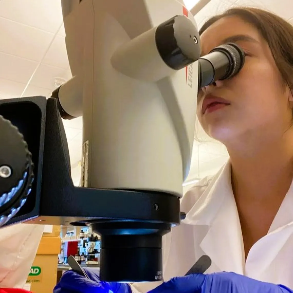 Picture of Viviana peering into a microscope