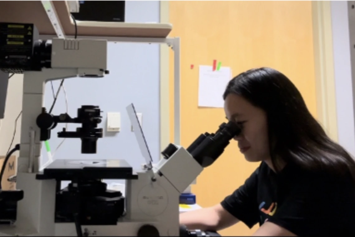 Picture of Truc Le looking through a microscope