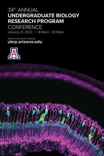 Picture of 34th Annual UBRP Conference poster