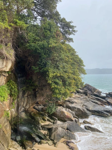 Picture of a rocky beach, bordered by trees 