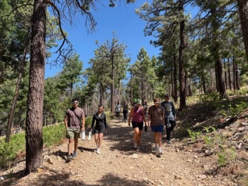 Picture on Mount Lemmon Trail